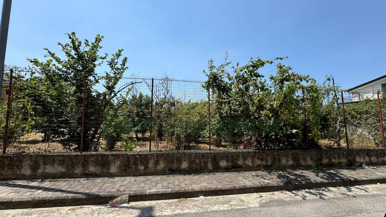 Foto 2 - Terreno edificabile mugnano del cardinale, Mugnano del Cardinale - foto 2