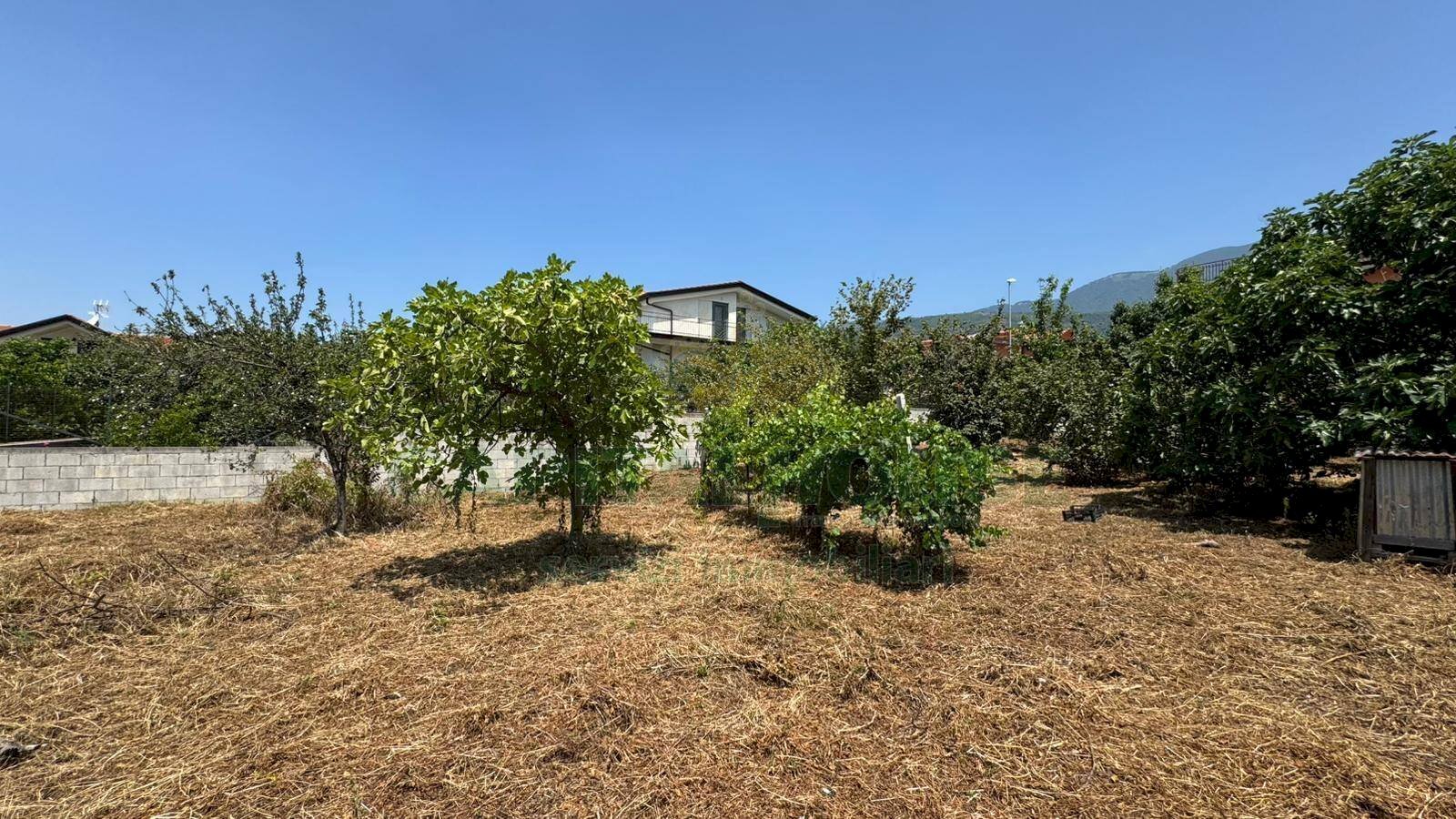 Foto 3 - Terreno edificabile mugnano del cardinale, Mugnano del Cardinale - foto 3