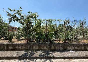 Foto 1 - Terreno edificabile mugnano del cardinale, Mugnano del Cardinale - foto 1