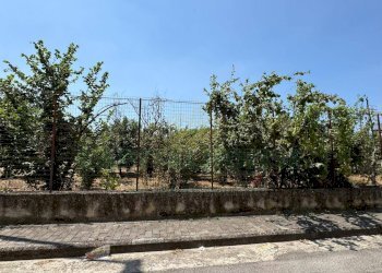 Foto 9 - Terreno edificabile mugnano del cardinale, Mugnano del Cardinale - foto 9