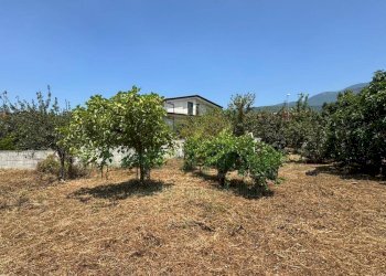 Foto 10 - Terreno edificabile mugnano del cardinale, Mugnano del Cardinale - foto 10