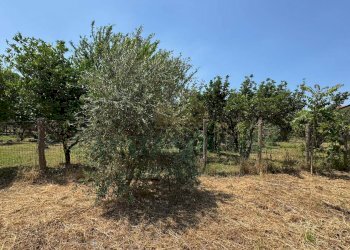 Foto 11 - Terreno edificabile mugnano del cardinale, Mugnano del Cardinale - foto 11