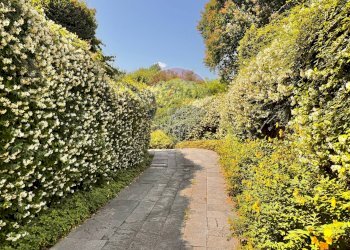 Giardino - Villa Via Enrico fermi
 
18, Sumirago - foto 38