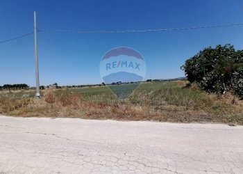 Non correlato - Terreno agricolo strada provinciale 7 Comiso-Chiaramonte Gulfi km 5 Contrada Margitello cifali, Chiaramonte Gulfi - foto 2