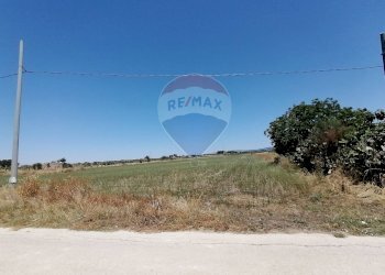 Non correlato - Terreno agricolo strada provinciale 7 Comiso-Chiaramonte Gulfi km 5 Contrada Margitello cifali, Chiaramonte Gulfi - foto 5