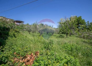 Giardino - Casa indipendente via Colli, Fara Filiorum Petri - foto 19