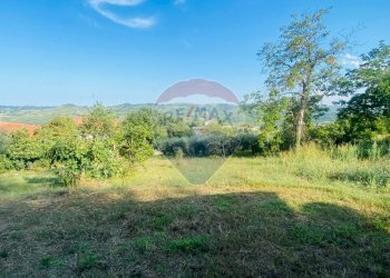 Giardino - Rustico Via Colli
 
127, Fara Filiorum Petri - foto 7