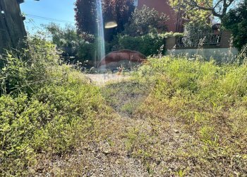 Giardino - Casa semi indipendente Contrada Collemarino
 
65, Miglianico - foto 5