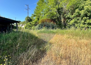 Giardino - Casa semi indipendente Contrada Collemarino
 
65, Miglianico - foto 8