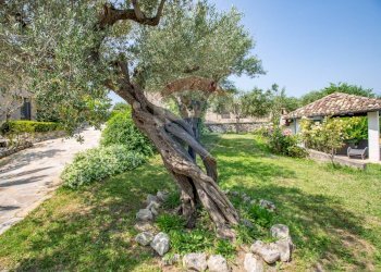 Giardino - Villa Via Colle Di Paolo II, San Martino sulla Marrucina - foto 10