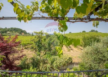 Giardino - Villa Via Colle Di Paolo II, San Martino sulla Marrucina - foto 86