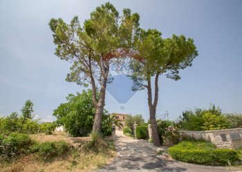 Giardino - Villa Via Colle Di Paolo II, San Martino sulla Marrucina - foto 101