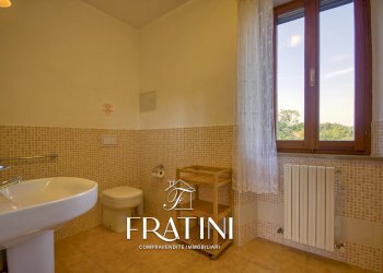 Foto 19 - Agriturismo Strada Casebianche
 
91, Roccafluvione - foto 19