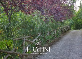 Foto 54 - Agriturismo Strada Casebianche
 
91, Roccafluvione - foto 54