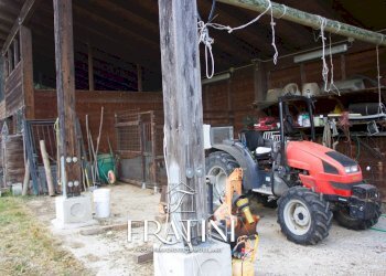 Foto 59 - Agriturismo Strada Casebianche
 
91, Roccafluvione - foto 59