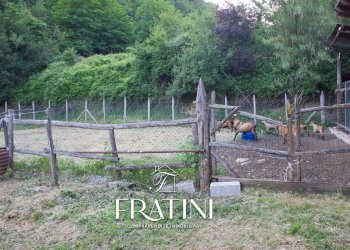 Foto 60 - Agriturismo Strada Casebianche
 
91, Roccafluvione - foto 60