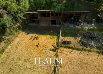 Foto 68 - Agriturismo Strada Casebianche
 
91, Roccafluvione - foto 68