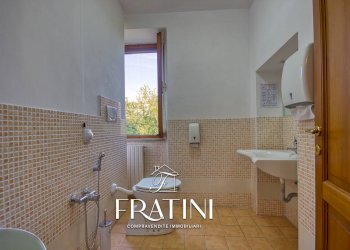 Foto 74 - Agriturismo Strada Casebianche
 
91, Roccafluvione - foto 74