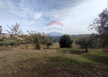 Giardino - Casa indipendente Torrevecchia Teatina - foto 5