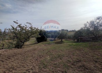 Giardino - Casa indipendente Torrevecchia Teatina - foto 25