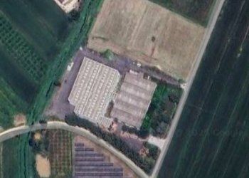 Foto 1 - Locale Commerciale Località Pratini, Suvereto - foto 1