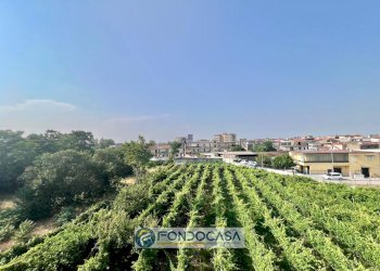 Foto 3 - Quadrilocale Via Dei Platani
 
18, Sant'Antimo - foto 3