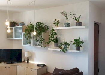 Foto 18 - Trilocale Amelia - foto 17