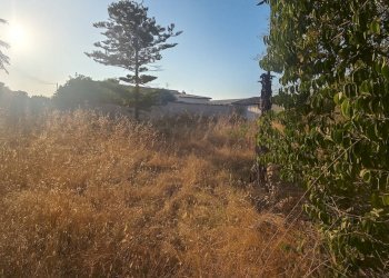 Foto 8 - Independent house Via Bellegra
10, Nettuno - photo 8