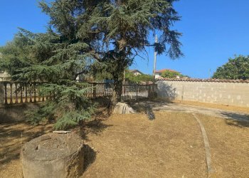 Foto 44 - Independent house Via Bellegra
10, Nettuno - photo 44