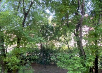 Foto 44 - Appartamento Via Picasso
 
22, Parma - foto 44