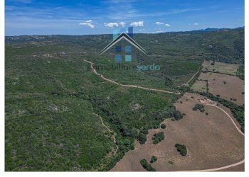 Foto 7 - Terreno agricolo Trentino
 
36-54, Aglientu - foto 7