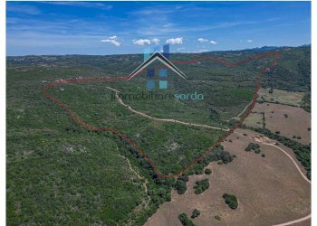 Foto 11 - Terreno agricolo Trentino
 
36-54, Aglientu - foto 11