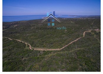 Foto 14 - Terreno agricolo Trentino
 
36-54, Aglientu - foto 14