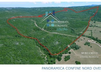 Foto 15 - Terreno agricolo Trentino
 
36-54, Aglientu - foto 15