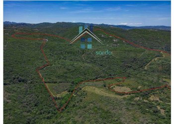 Foto 27 - Terreno agricolo Trentino
 
36-54, Aglientu - foto 27