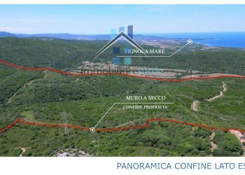 Foto 32 - Terreno agricolo Trentino
 
36-54, Aglientu - foto 32