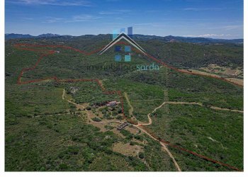 Foto 33 - Terreno agricolo Trentino
 
36-54, Aglientu - foto 33