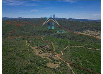 Foto 34 - Terreno agricolo Trentino
 
36-54, Aglientu - foto 34