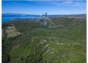 Foto 35 - Terreno agricolo Trentino
 
36-54, Aglientu - foto 35