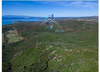 Foto 38 - Terreno agricolo Trentino
 
36-54, Aglientu - foto 38