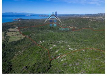 Foto 39 - Terreno agricolo Trentino
 
36-54, Aglientu - foto 39