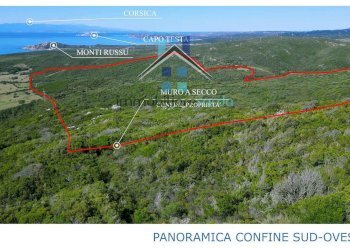 Foto 40 - Terreno agricolo Trentino
 
36-54, Aglientu - foto 40