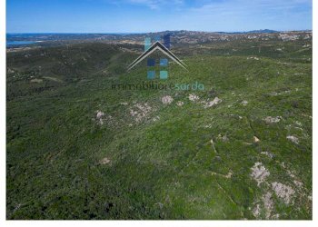 Foto 42 - Terreno agricolo Trentino
 
36-54, Aglientu - foto 42