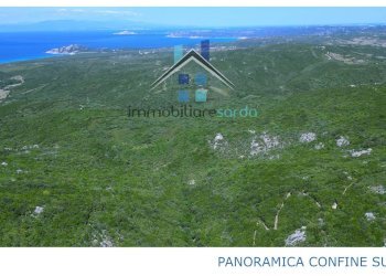 Foto 43 - Terreno agricolo Trentino
 
36-54, Aglientu - foto 43