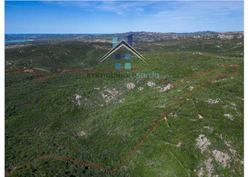 Foto 44 - Terreno agricolo Trentino
 
36-54, Aglientu - foto 44