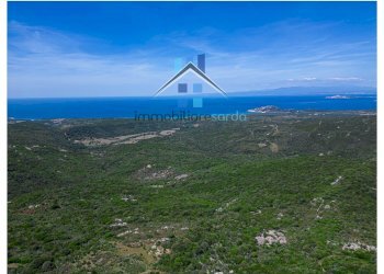 Foto 47 - Terreno agricolo Trentino
 
36-54, Aglientu - foto 47