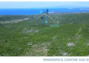 Foto 49 - Terreno agricolo Trentino
 
36-54, Aglientu - foto 49