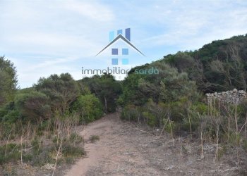 Foto 50 - Terreno agricolo Trentino
 
36-54, Aglientu - foto 50