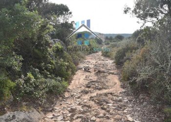 Foto 52 - Terreno agricolo Trentino
 
36-54, Aglientu - foto 52