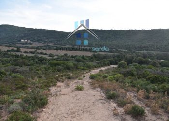 Foto 53 - Terreno agricolo Trentino
 
36-54, Aglientu - foto 53